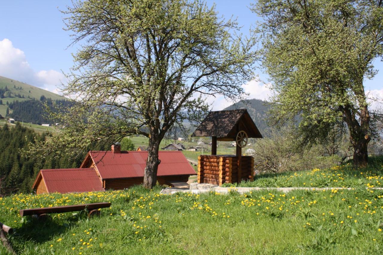 Villa Polonyna Verkhovyna Esterno foto