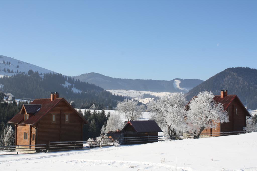Villa Polonyna Verkhovyna Esterno foto