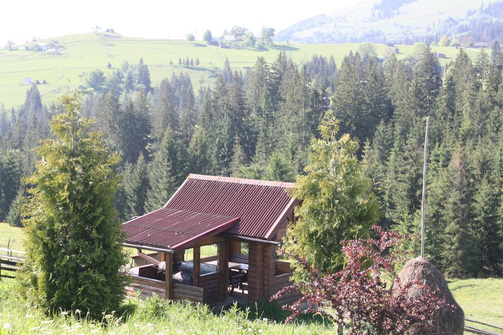Villa Polonyna Verkhovyna Esterno foto