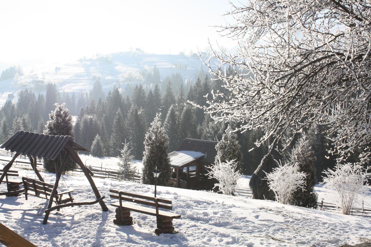 Villa Polonyna Verkhovyna Esterno foto