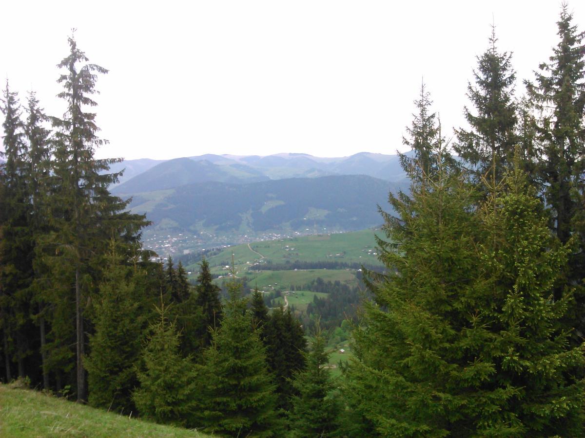 Villa Polonyna Verkhovyna Esterno foto