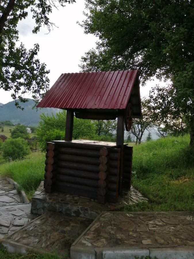 Villa Polonyna Verkhovyna Esterno foto